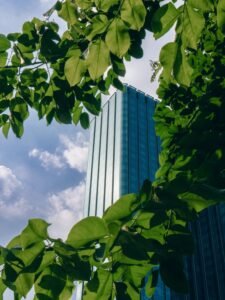 Tall blue skyscraper framed by vibrant green leaves against a sunny sky.